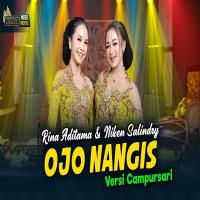 Niken Salindry - Ojo Nangis Feat Rina Aditama Versi Campursari
